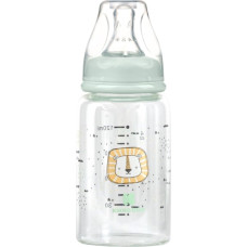 Glass feeding bottle 120ml Savanna Mint