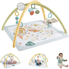Fisher Price Simply Senses™ Newborn Gym