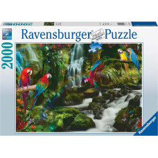 Ravensburger Puzzle Parrots Paradise 2000p 17111