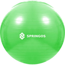 Springos Vingoršanas bumba ar pumpi Springos FB0007 65cm