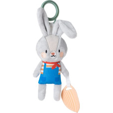 Taf Toys attīstošā rotaļlieta Rylee the Bunny