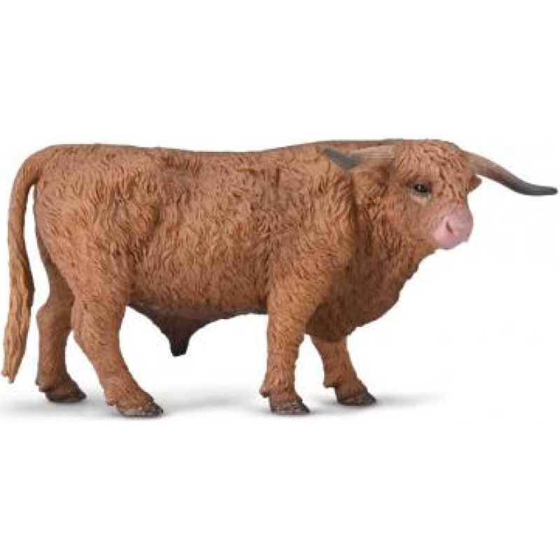 Collecta Bullis Highland Bull (L), 80011