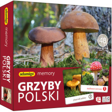 GRZYBY POLSKIE - MEMORY