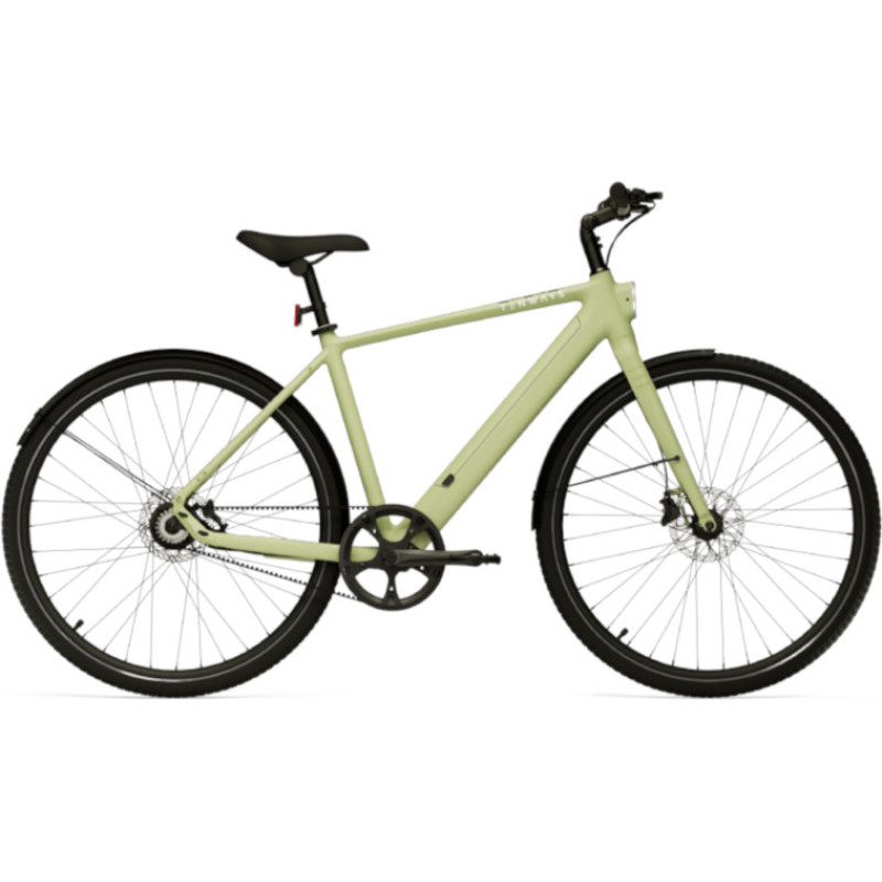 Tenways Elektrijalgratas TENWAYS CGO600 PRO, Avocado Green (M)