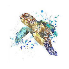 TSVETNOY Dimantu mozaīkas komplekts 30x40cm Graceful Turtle, LE015e