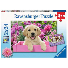 Ravensburger puzle 2X24 Me and my pal R 05029