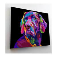SPLAT PLANET Gleznošanas komplekts pēc numuriem 30x40cm DOG, SP44495