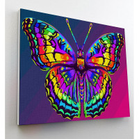 SPLAT PLANET Gleznošanas komplekts pēc numuriem 30x40cm BUTTERFLY, SP46383