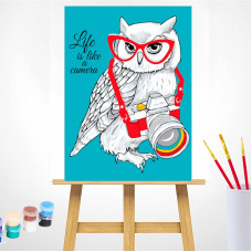 TSVETNOY Gleznošanas komplekts pēc numuriem 30x40cm Owl - the Photographer, ME1126e