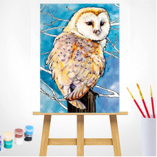 TSVETNOY Gleznošanas komplekts pēc numuriem 30x40cm Barn Owl, ME1124e