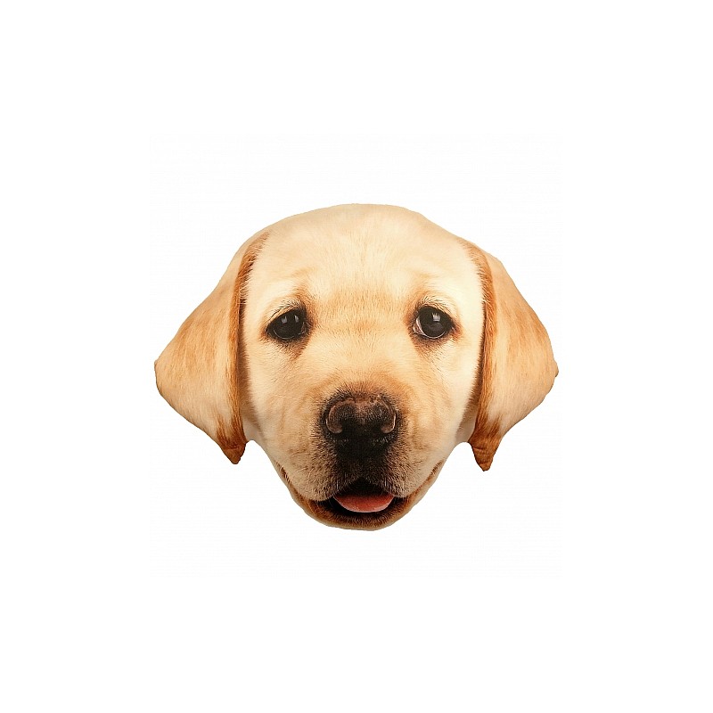 SPLAT PLANET spilvens 40x50cm LABRADOR SP44792
