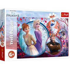 TREFL Puzle Frozen 2, 160 gb.