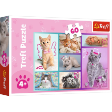 TREFL puzzle Kittens 60 pcs